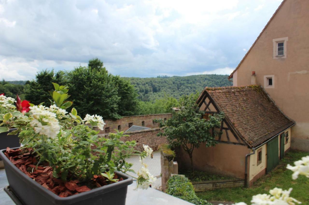 Les Appartements D'Estelle La Petite-Pierre Exterior foto